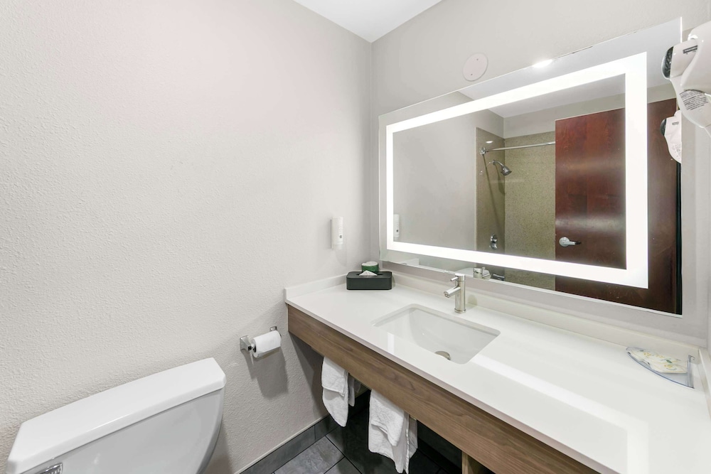 Quality Inn & Suites Sacramento 43/46