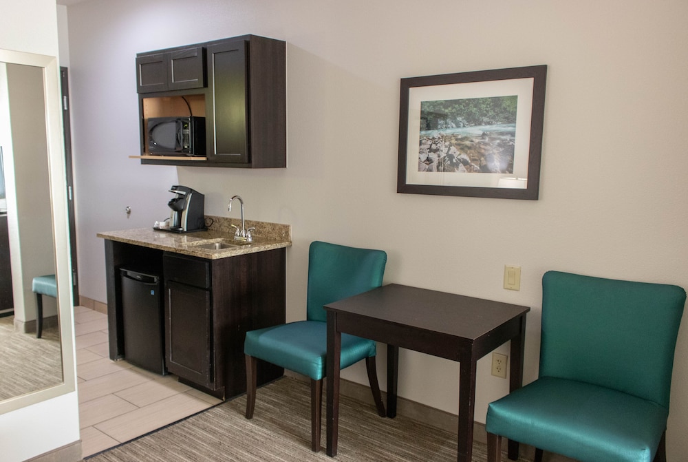 Holiday Inn Express Suites Temple Medical Center Area 30/40