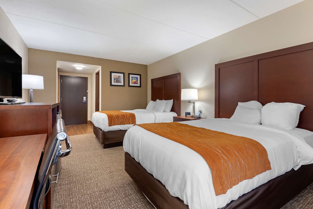 Comfort Inn Binghamton 11/35