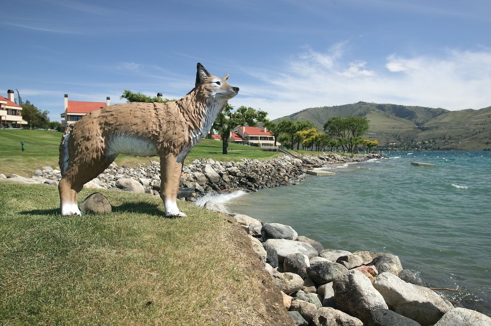 WorldMark Lake Chelan Shores 7/46