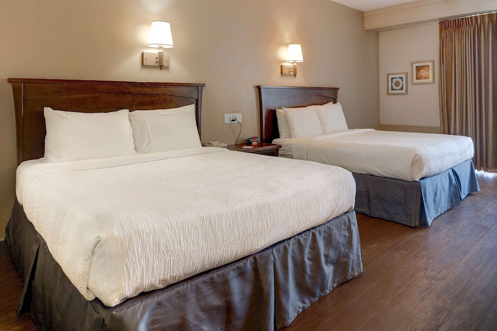 Hotel Amherst Hadley 11/18