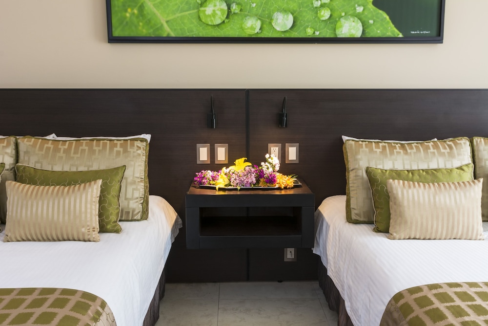 Studio Hotel Boutique 38/75
