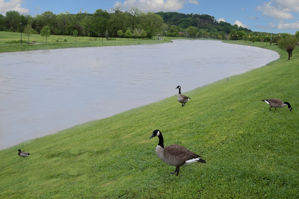 Econo Lodge Sevierville-Pigeon Forge on the River 18/25