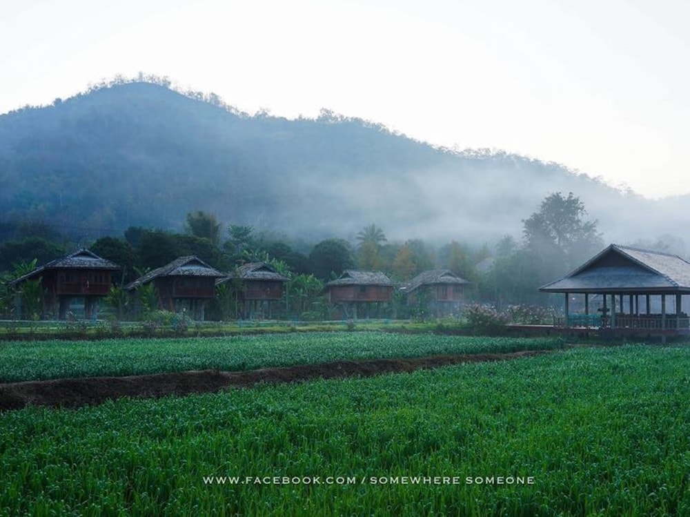 Lhongkhao Samoeng 33/43