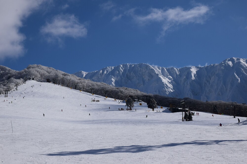 Hotel Daisen Shirogane 46/60
