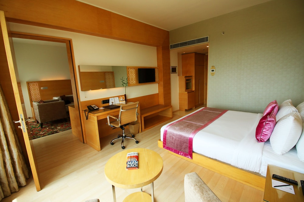 Hotel Sayaji Raipur 20/73
