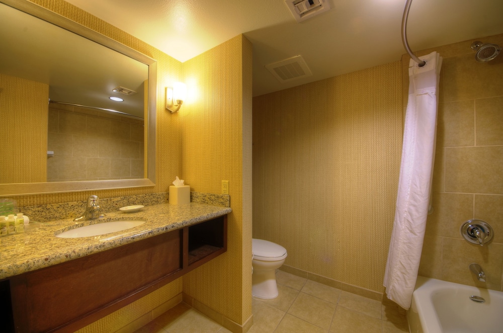 Holiday Inn & Suites Phoenix Airport 26/79