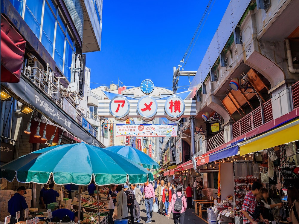 Sotetsu Fresa Inn Ueno-Okachimachi 47/50