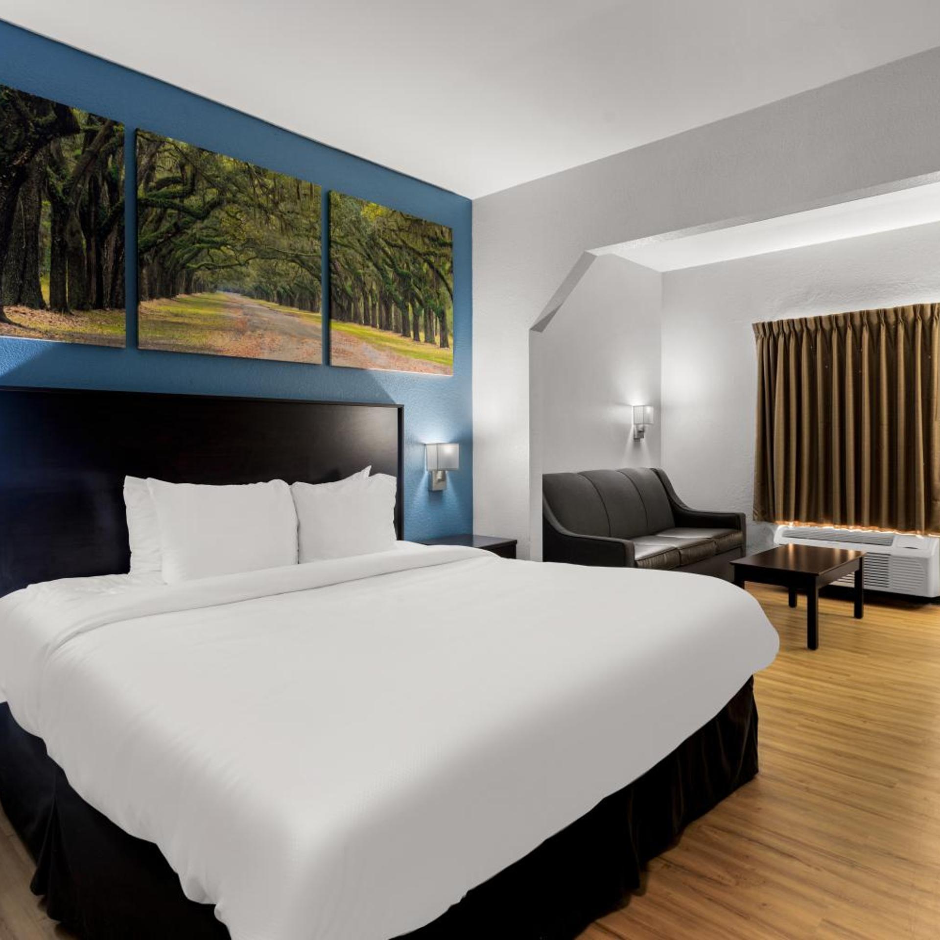 1 Bedroom, Suite, Sofa, Bathtub, Accessible