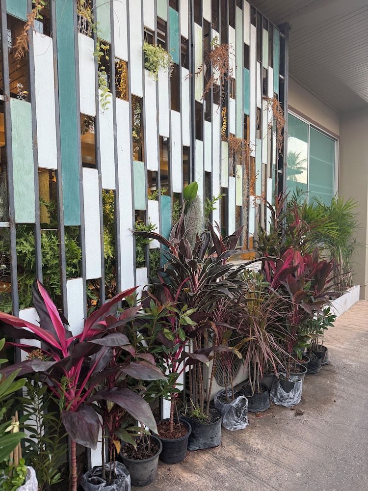Cactus Resort & Hotel 6/65