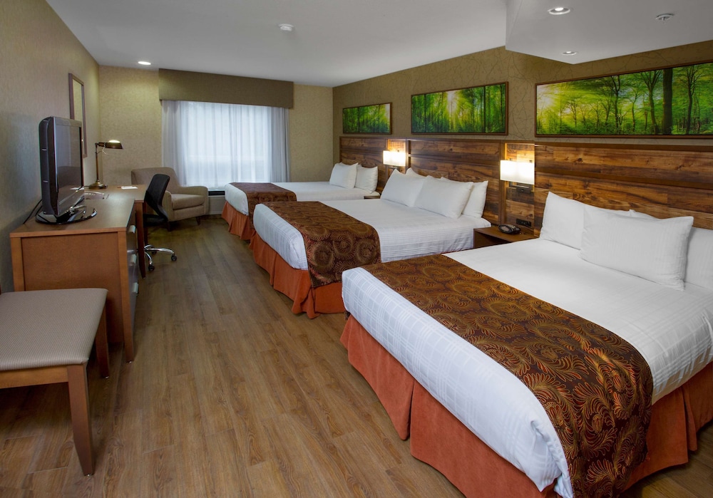 Best Western Plus Valemount Inn & Suites 22/65