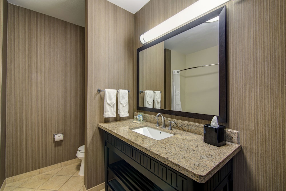 Holiday Inn Arlington Ne Rangers Ballpark 28/69