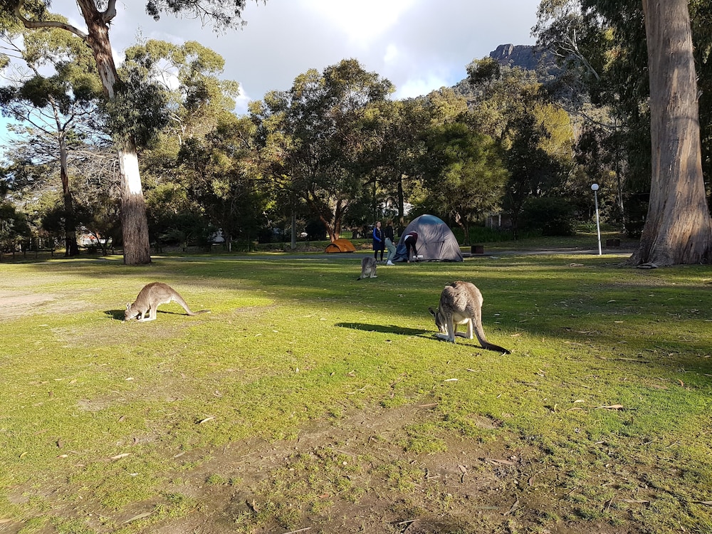 Halls Gap Caravan and Tourist Park 38/49