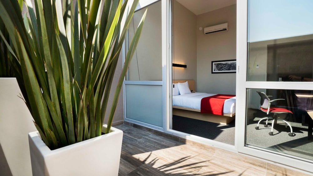 City Express Plus by Marriott Patio Universidad 25/26