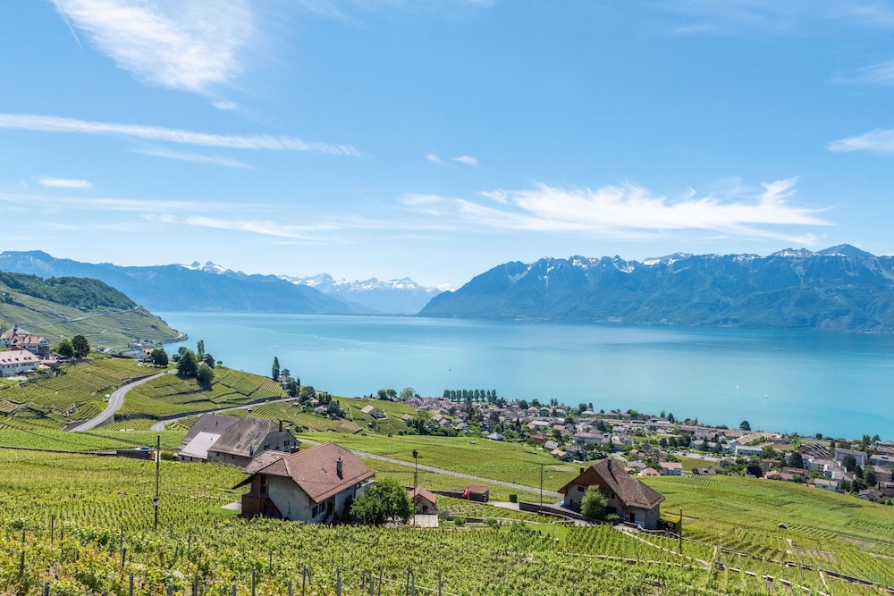 Swiss Luxury Apartments 45/47