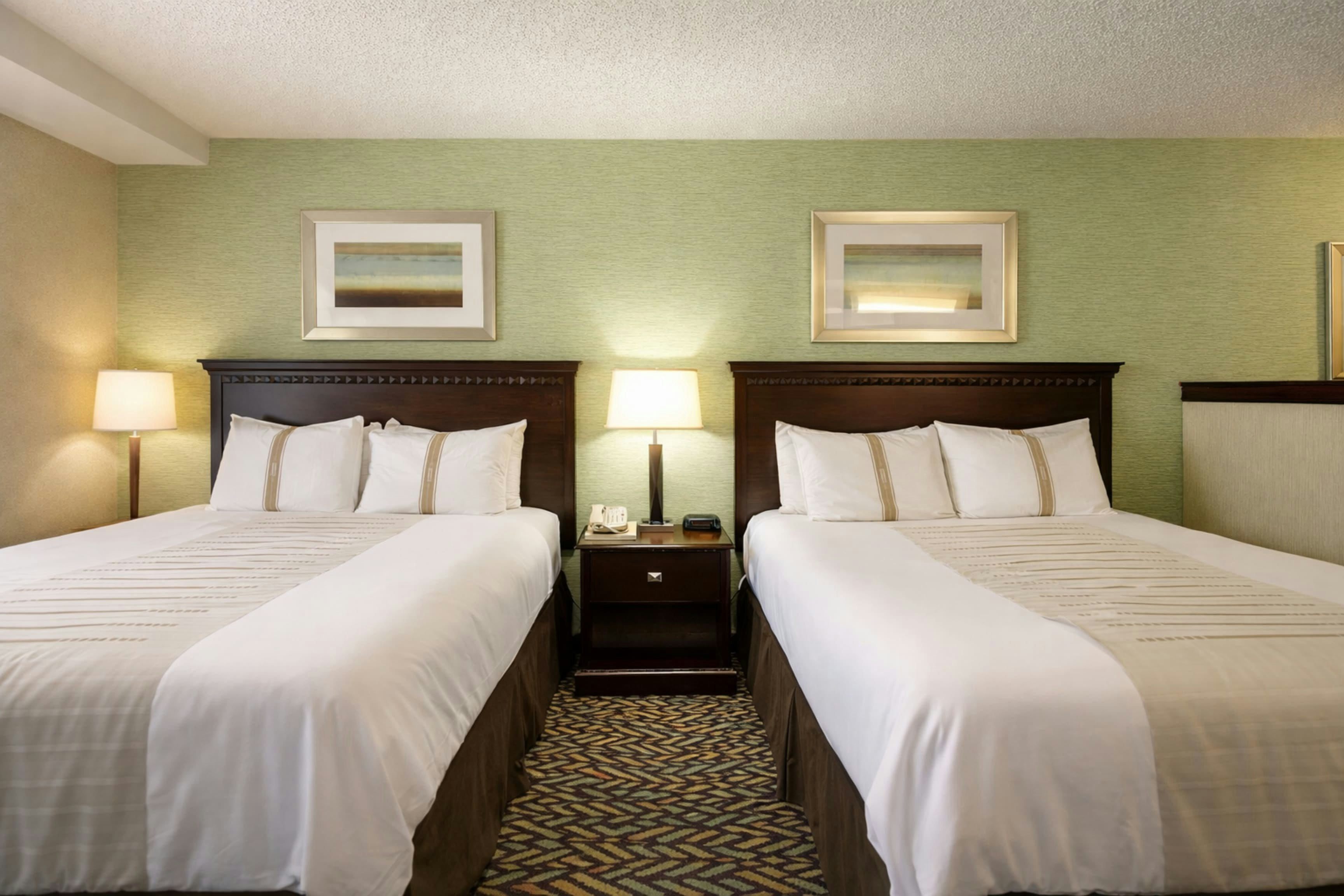 Fireside Inn & Suites 39/88