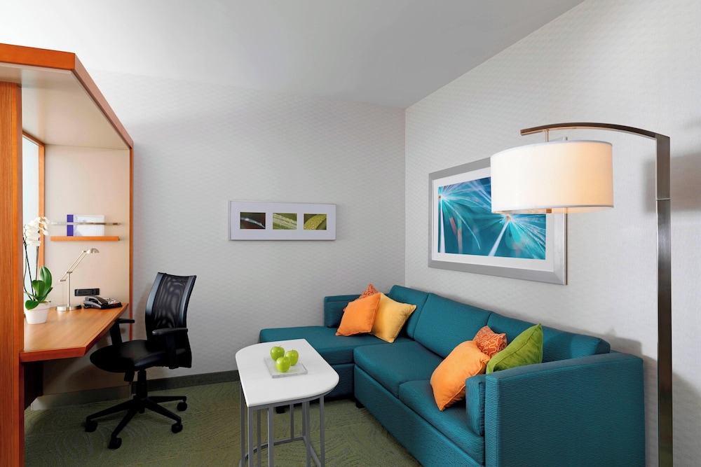 SpringHill Suites by Marriott Lake Charles 31/50