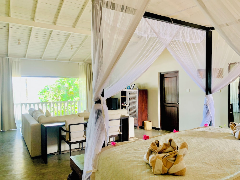 Suite Lanka 17/50