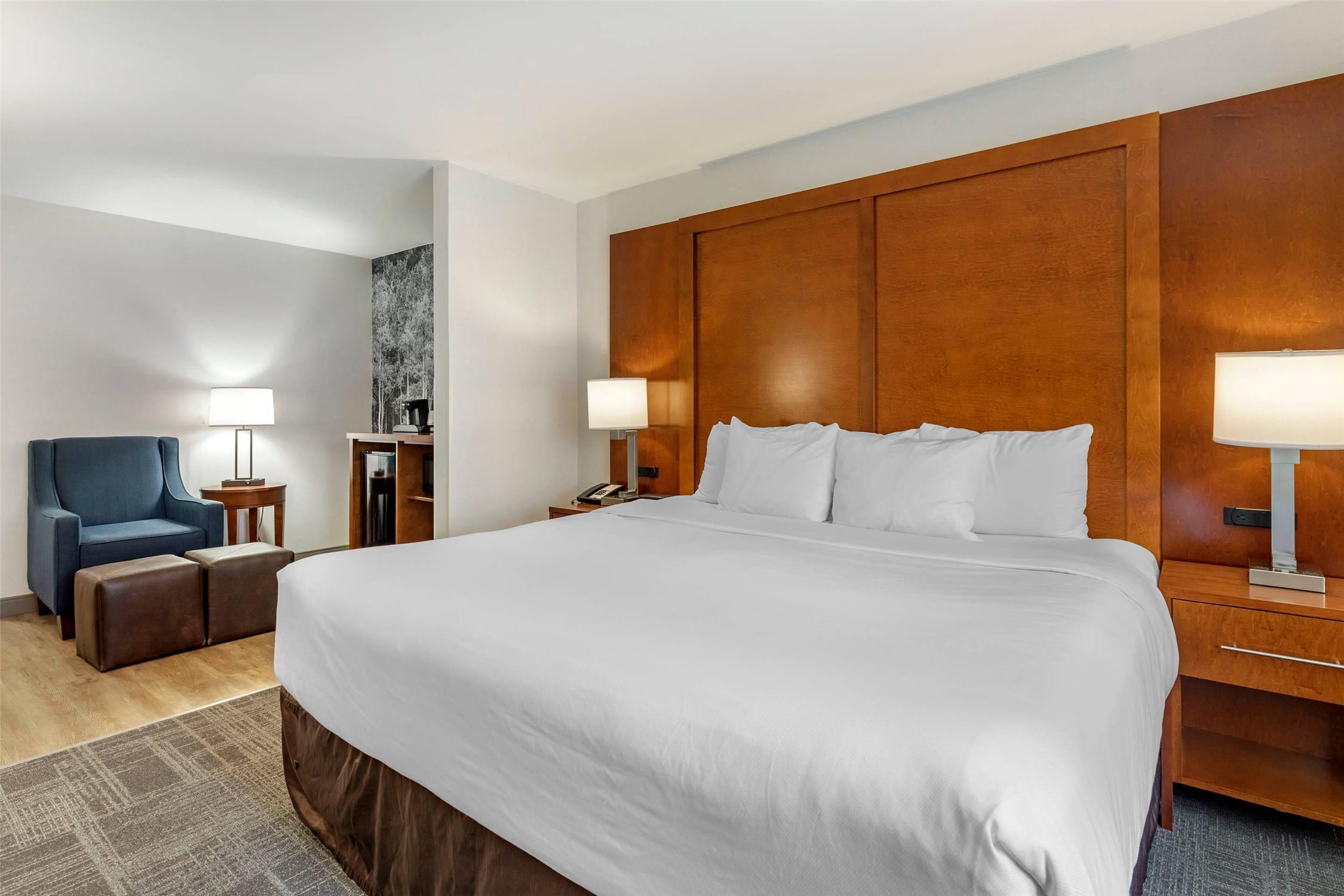 Suite, King Bed, Accessible