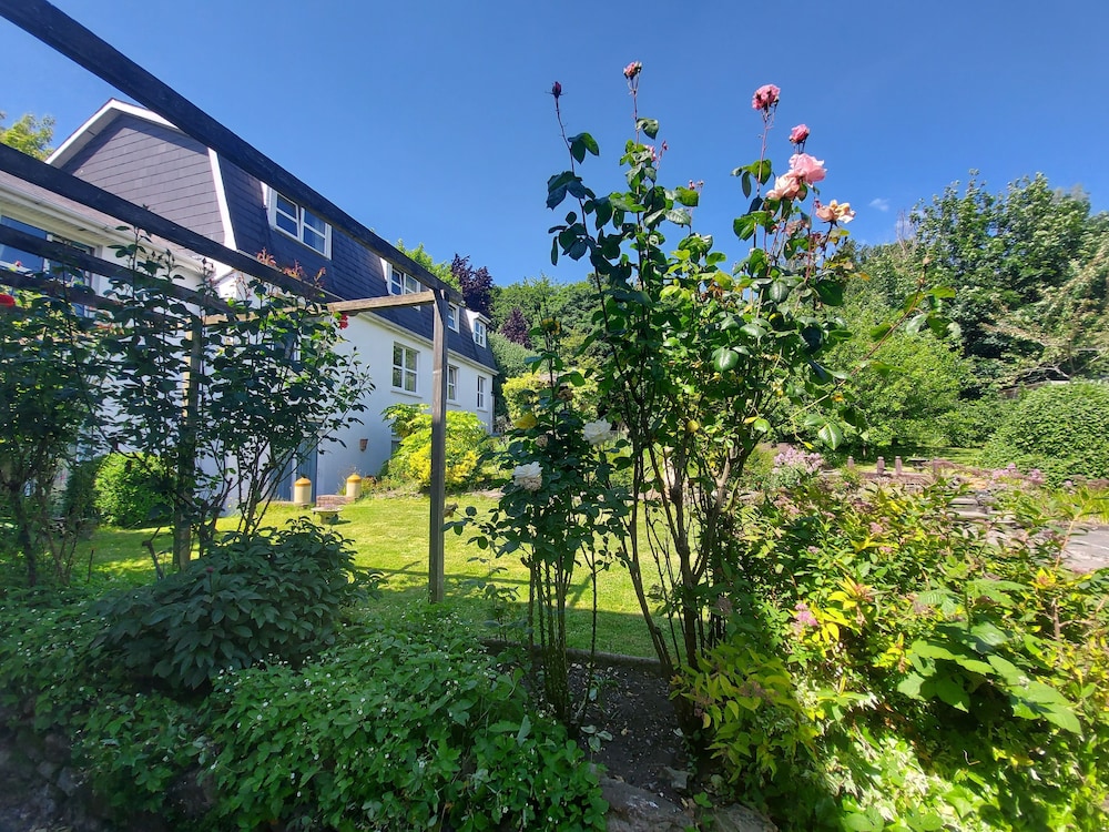 Belvedere Lodge - B&B 65/67