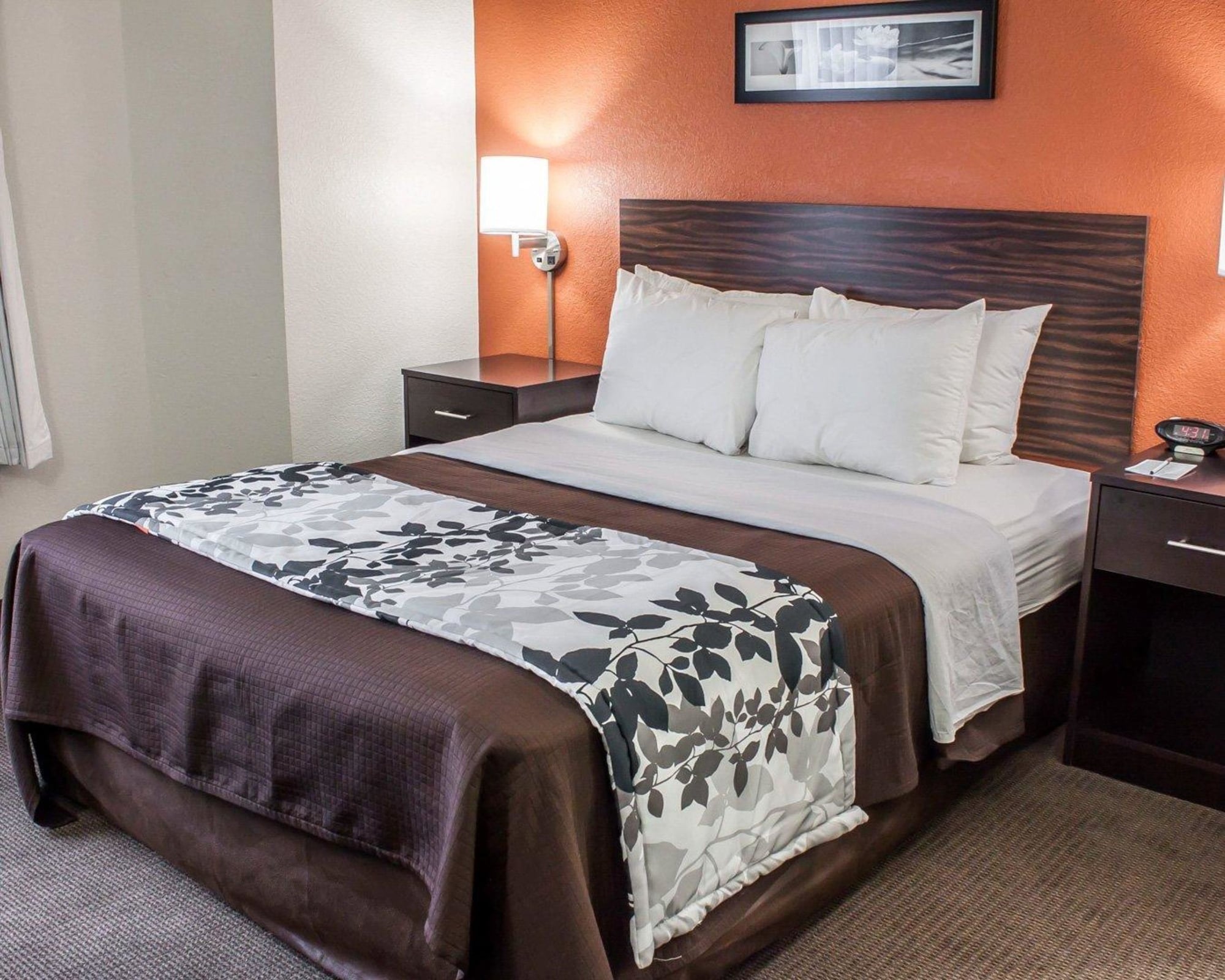 ROOM, QUEEN BED, ACCESSIBLE