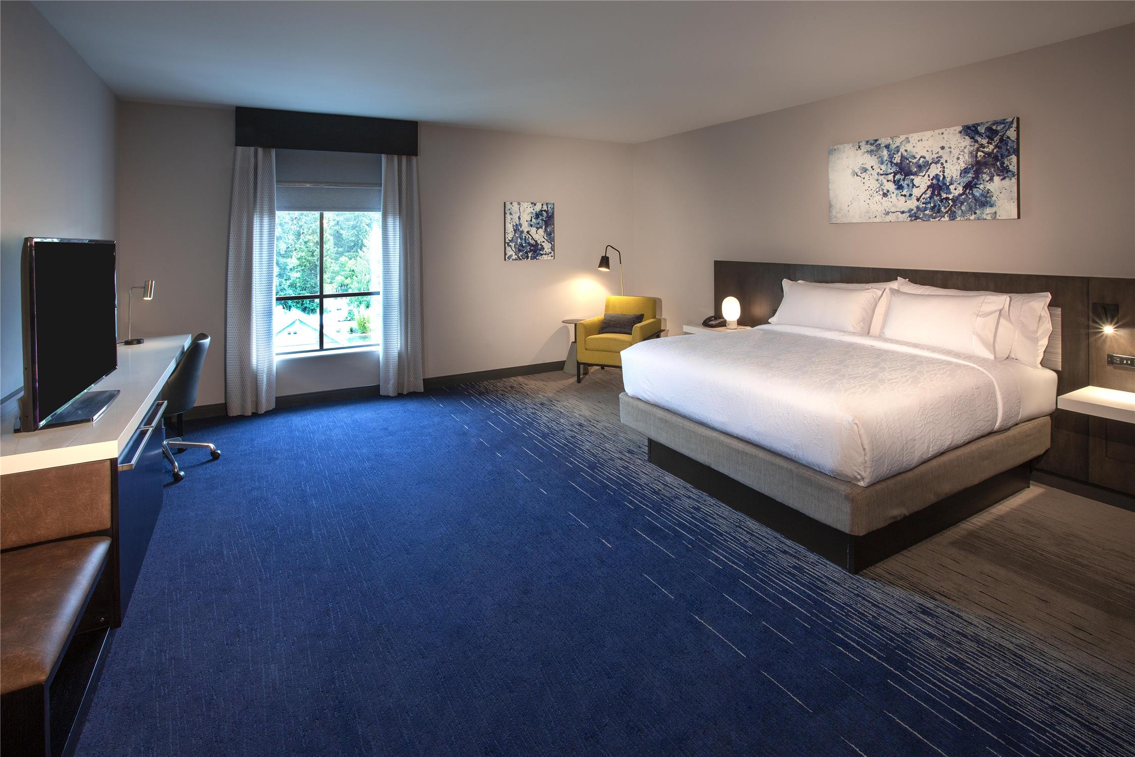 Room, King Bed, Bathtub, Accessible