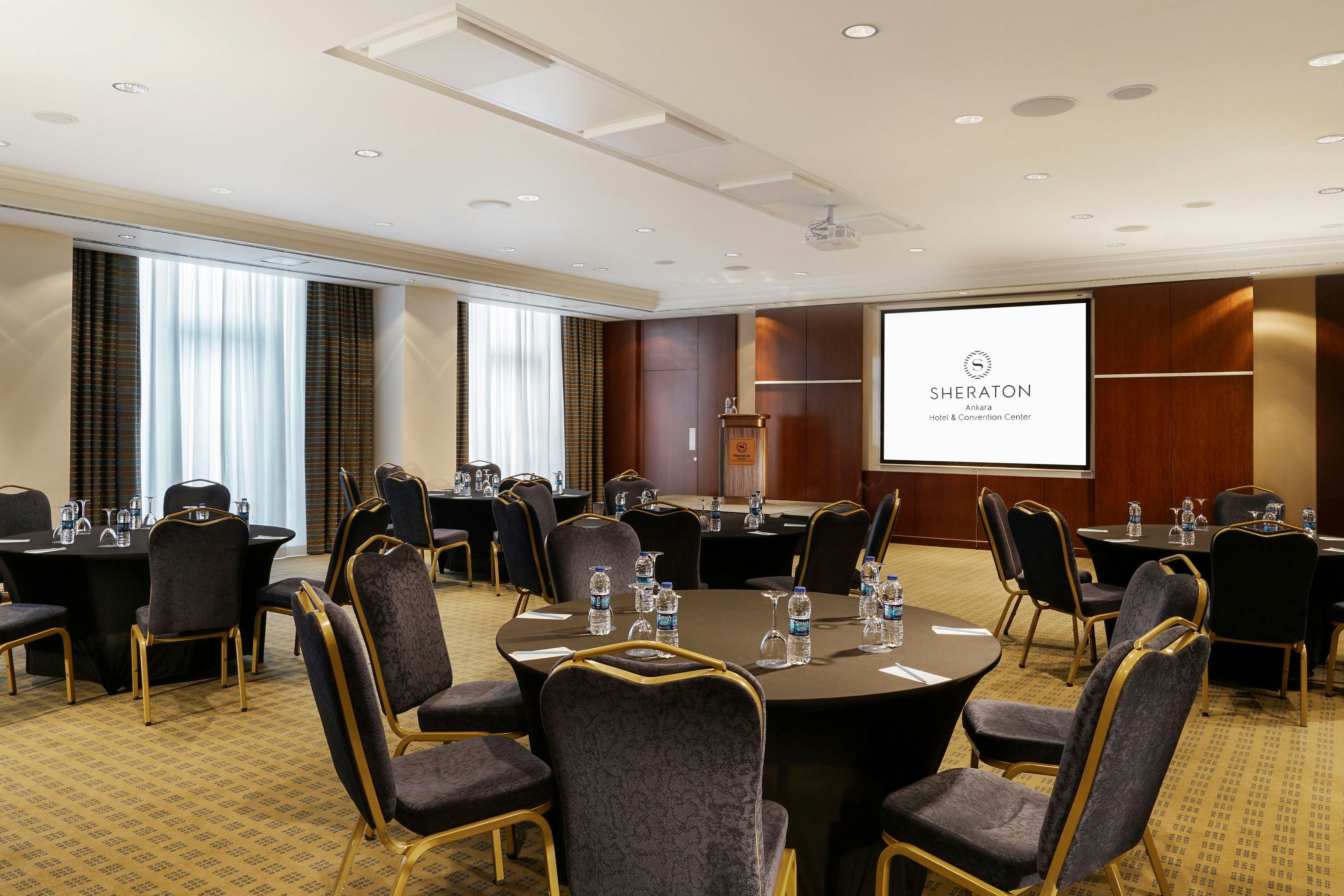 Sheraton Ankara Hotel Convention Center 61/72