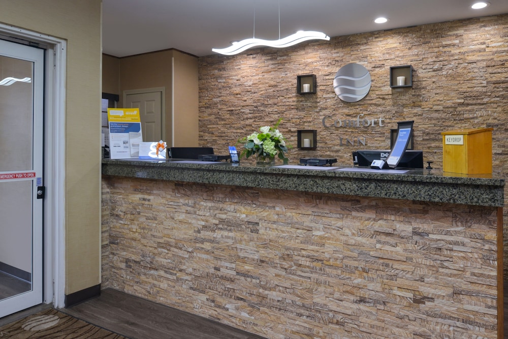 Spark by Hilton Guilford 13/64