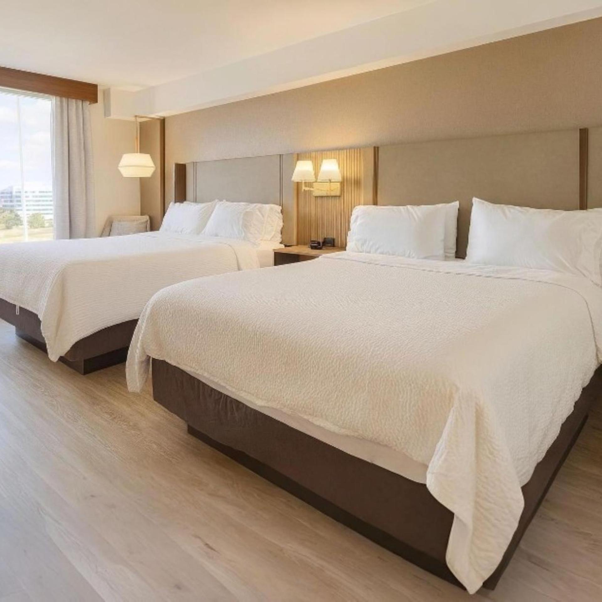 1 Bedroom, Suite, Sofa