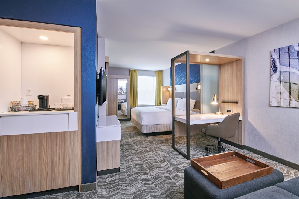 SpringHill Suites Detroit Dearborn 16/17