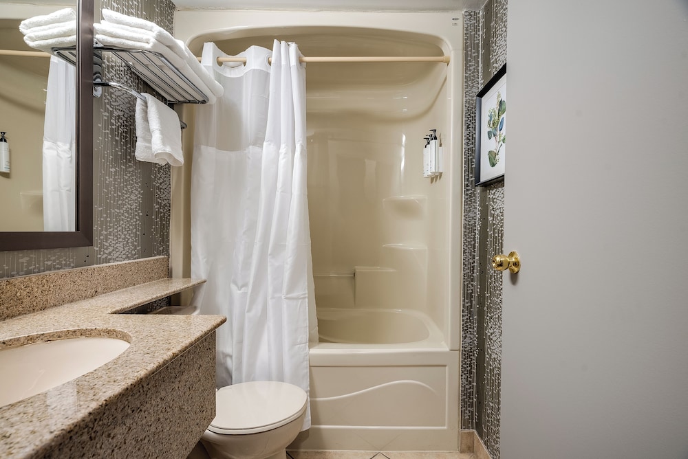 Monte Carlo Inn Toronto West Suites 65/65