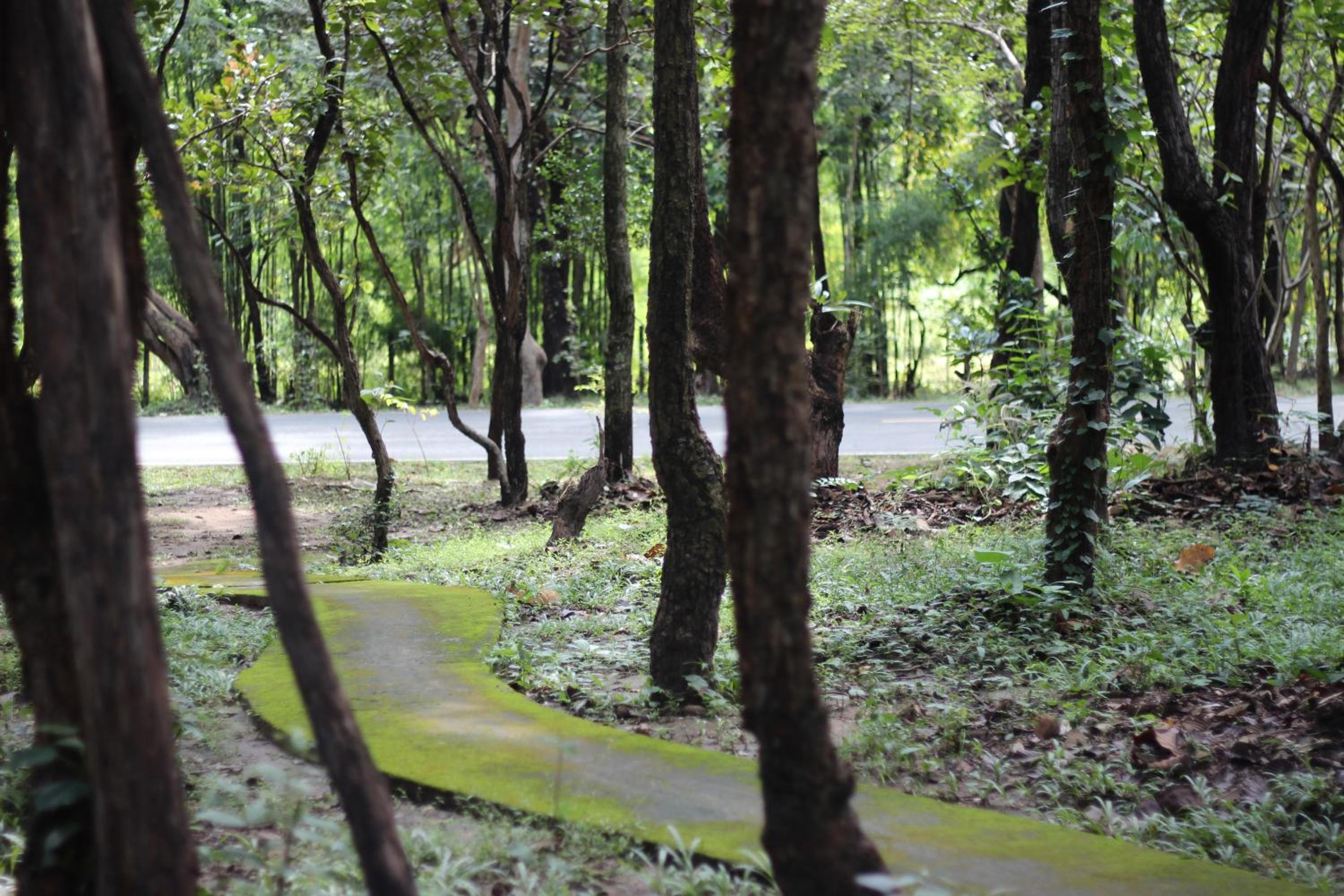 Foresta Villa 56/66