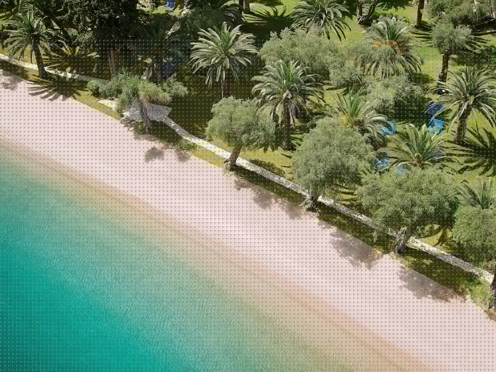Grecotel Daphnila Bay in Kommeno