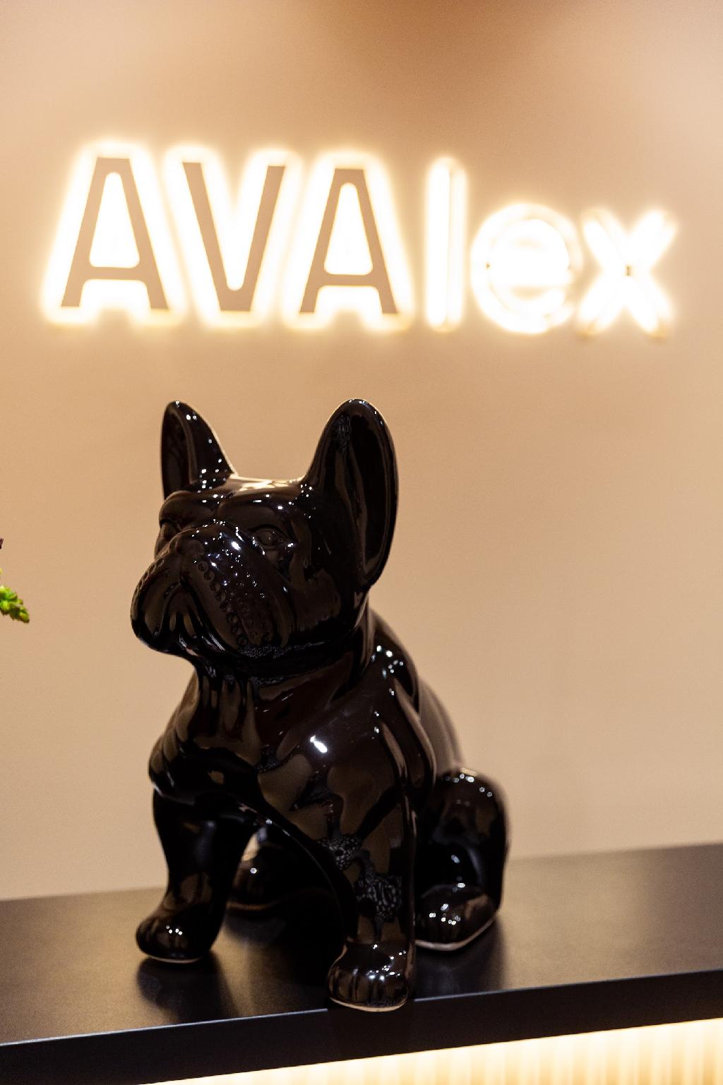 Hotel AVAlex 14/29