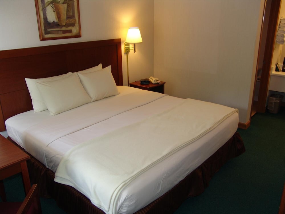 Super 8 by Wyndham Branson Shepherd of the Hills Exwy 16/60