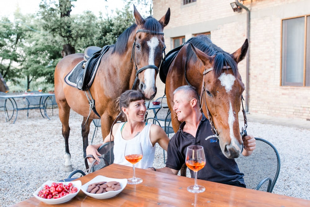 Fattoria Pieve a Salti 25/50