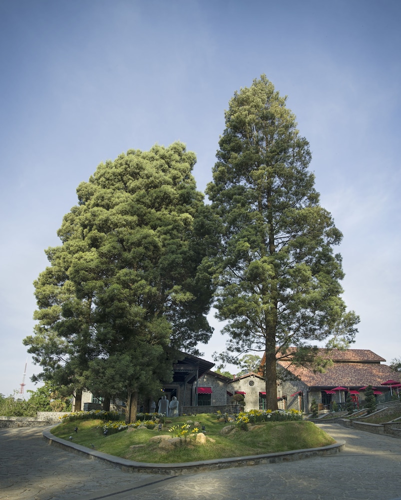 The Tamara Kodai 36/49