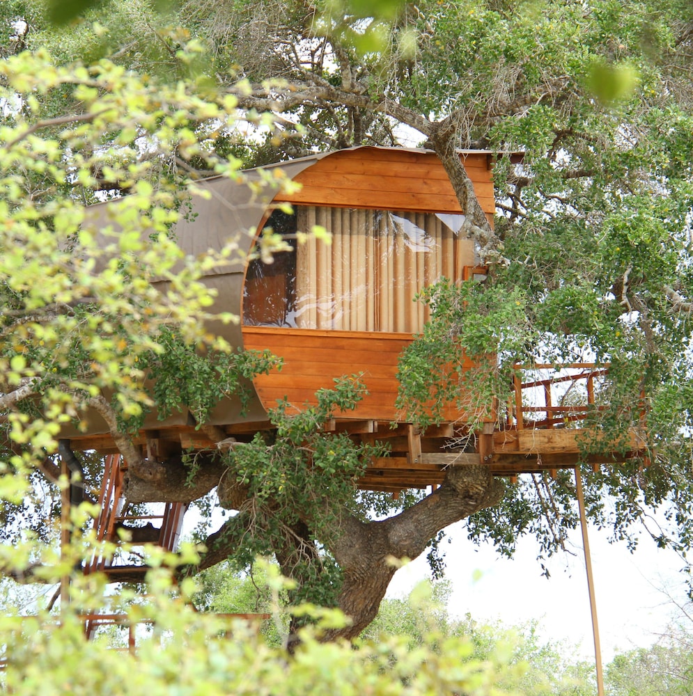Leopard Nest Luxury Campsite 6/50