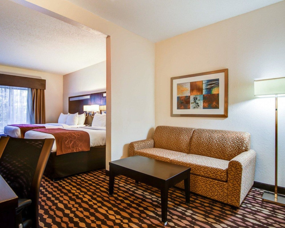 Comfort Suites Northside Hospital Gwinnett 21/47