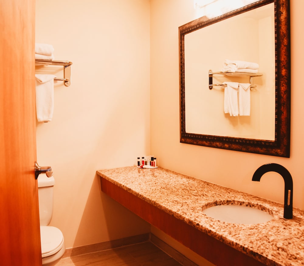 Stony Plain Inn & Suites 23/44