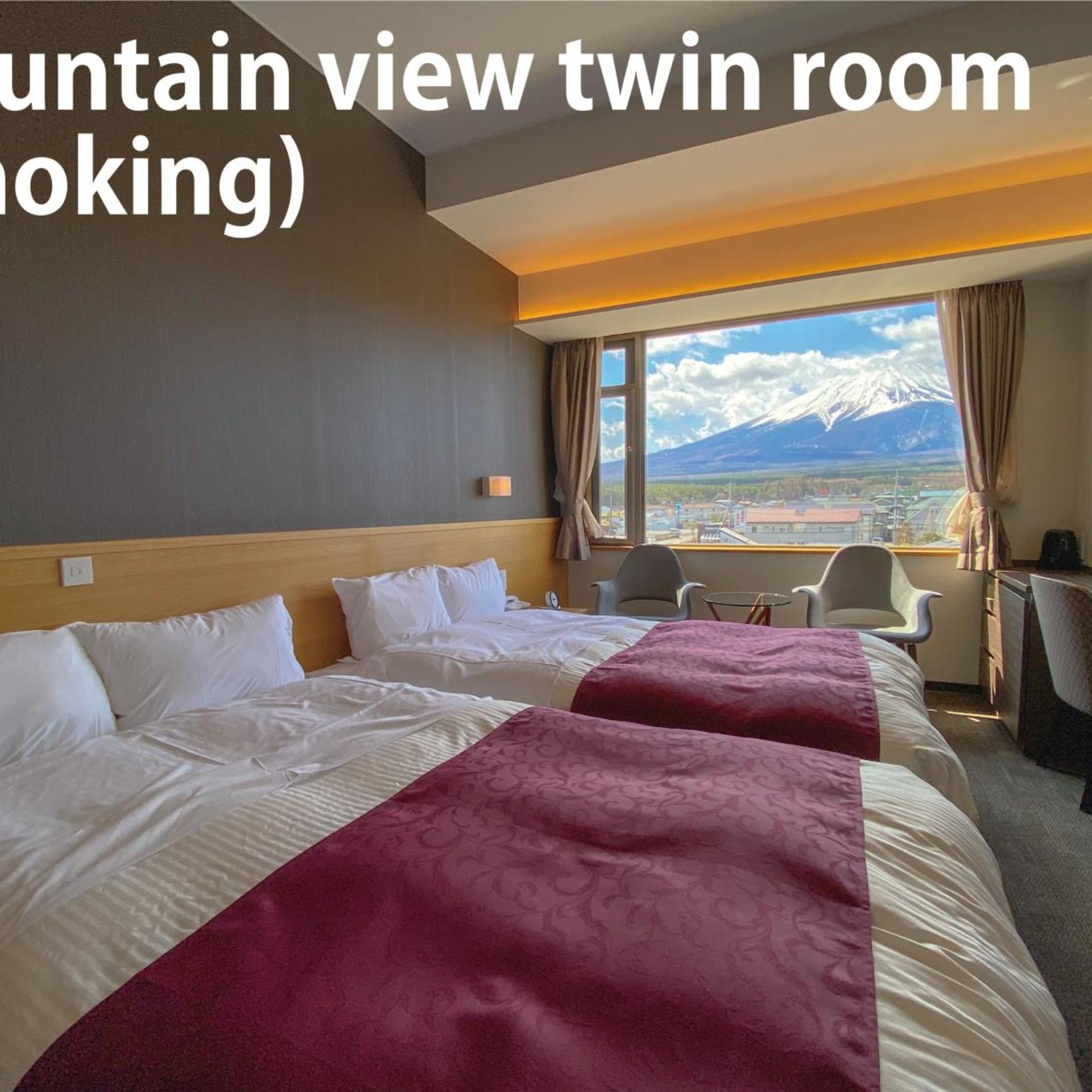 Standard, Twin Beds, Mountain View