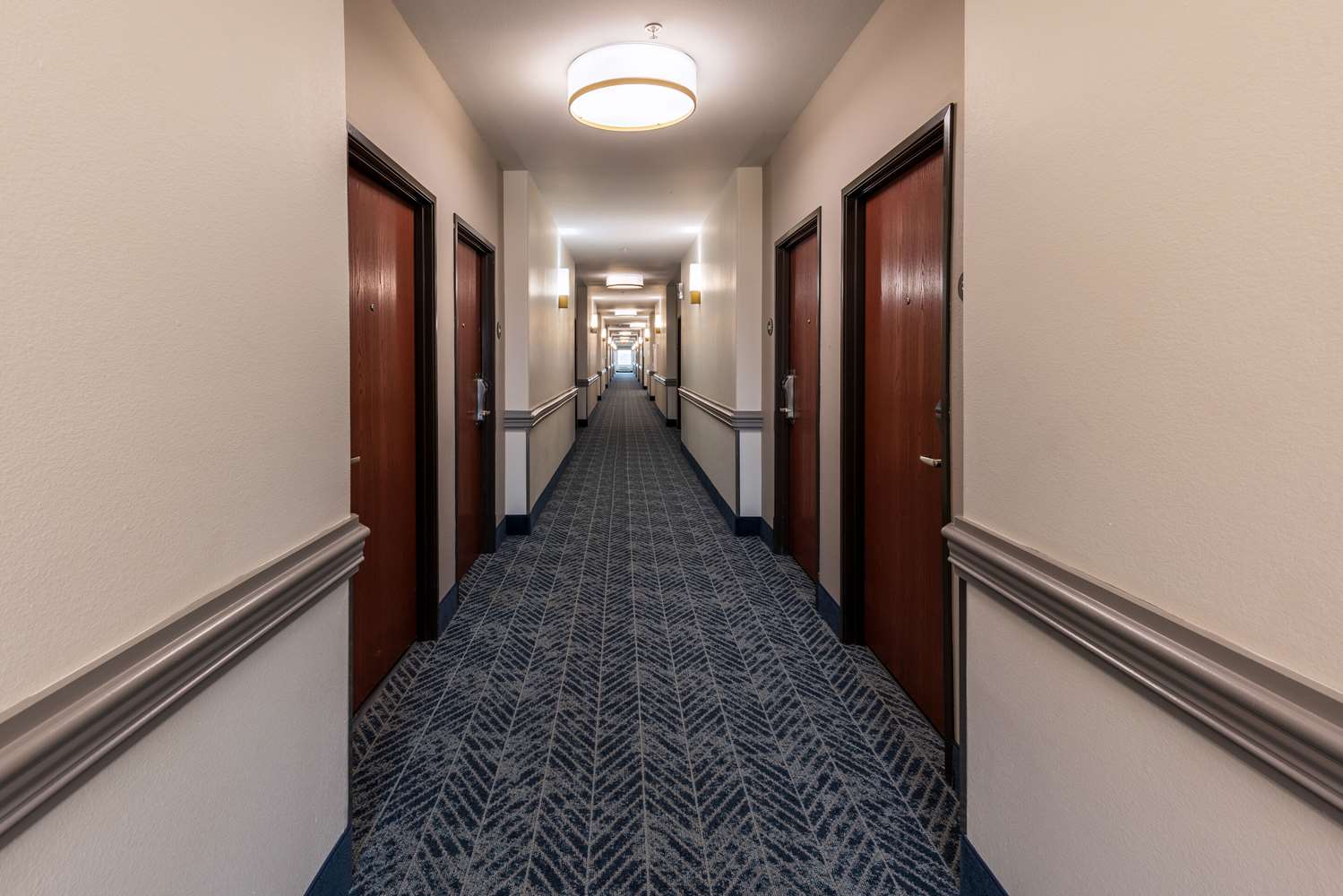 Comfort Inn & Suites New Iberia - Avery Island 4/20