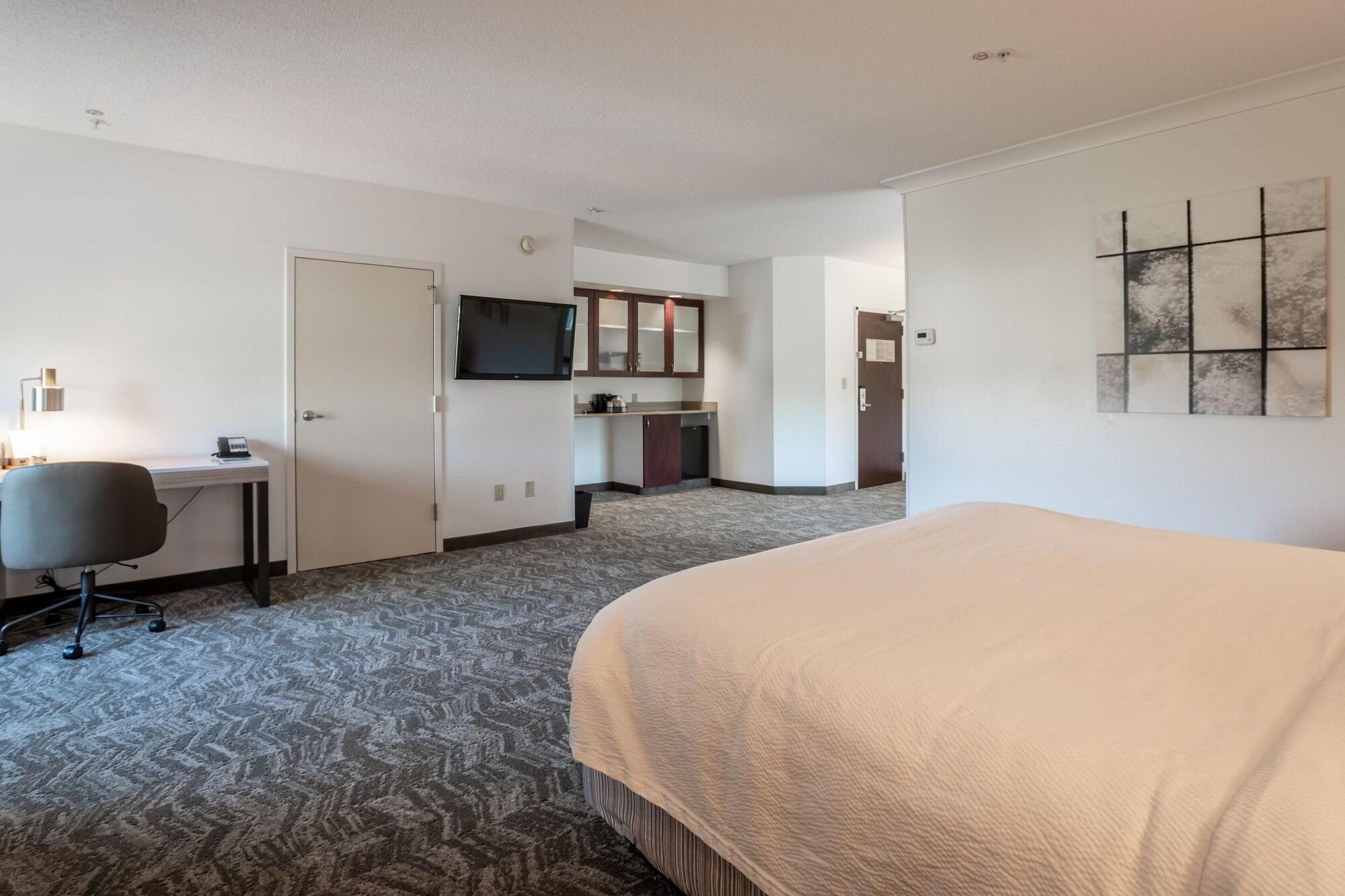 Executive, Suite, King Bed, Sofa
