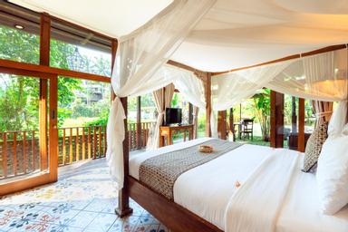 Suite, Rice Field View