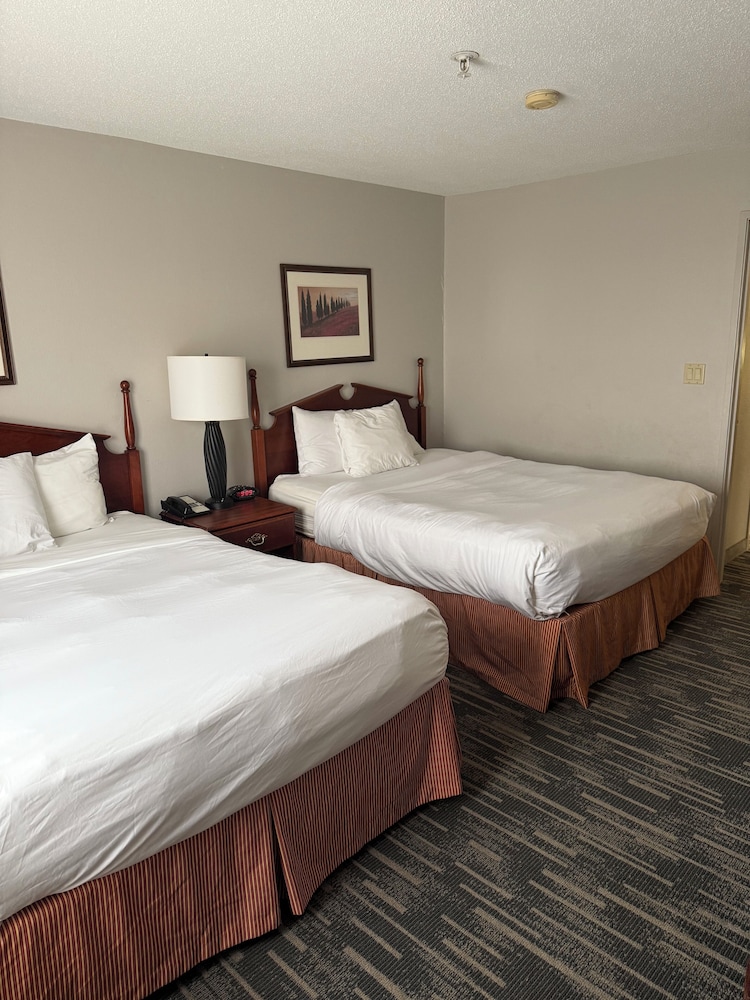 1 Bedroom, Suite, 2 Queen Beds