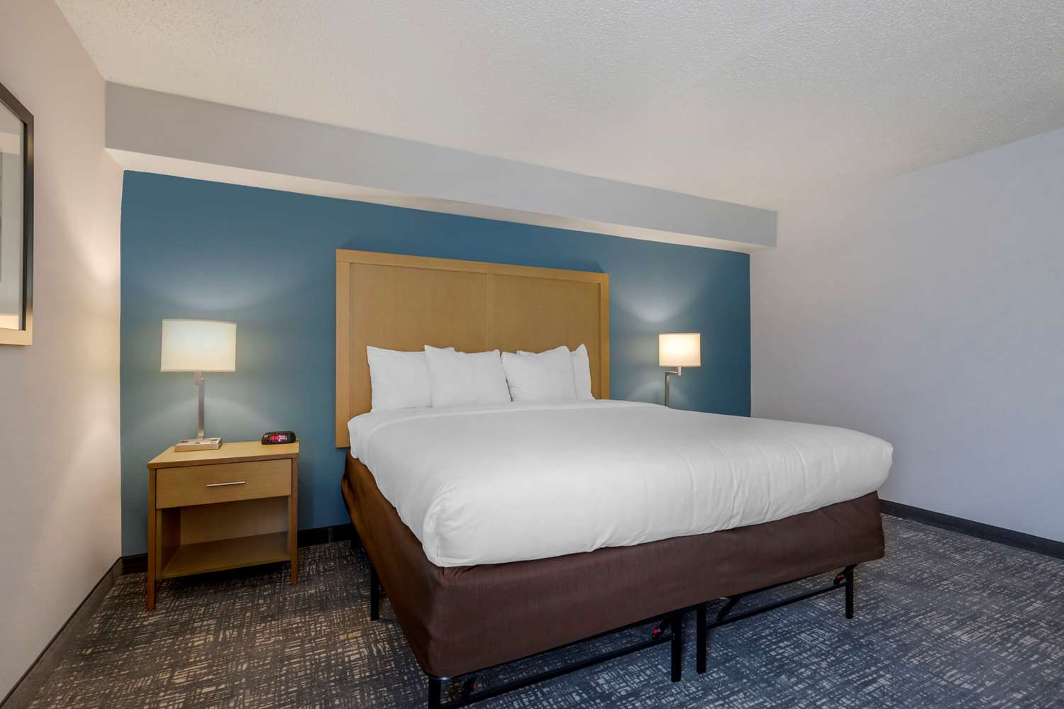 ROOM, KING BED, ACCESSIBLE