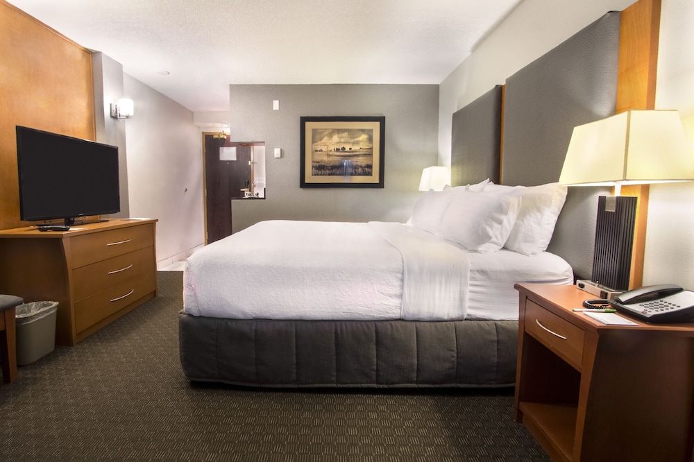 Holiday Inn Calgary- Airport 27/65