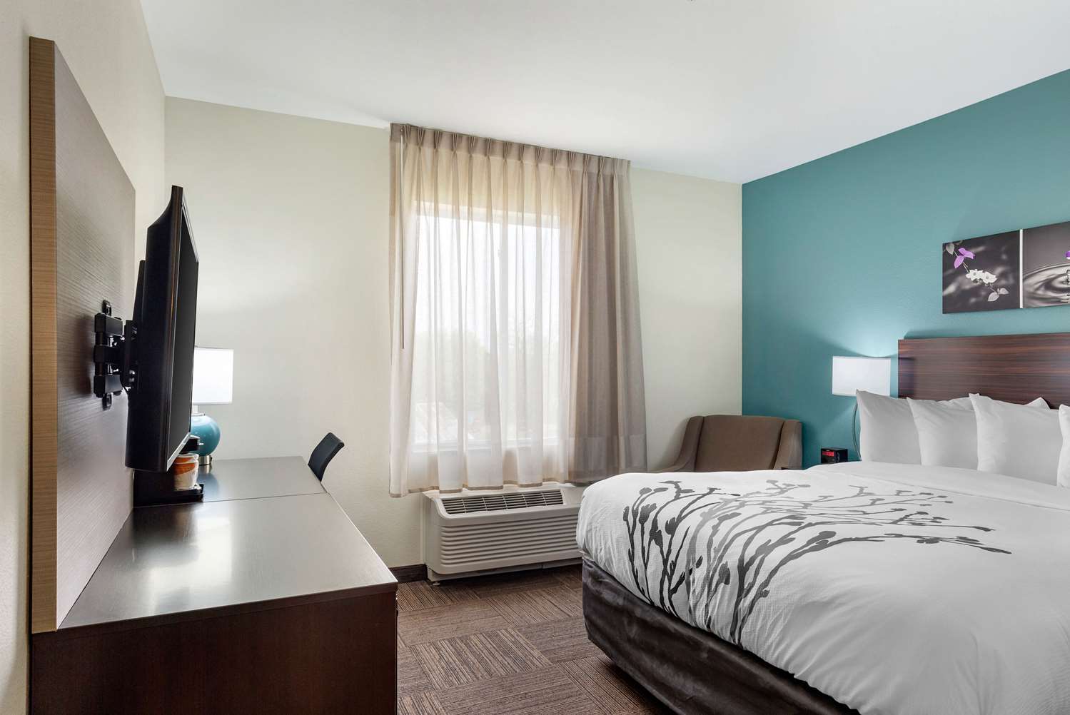 Room, King Bed