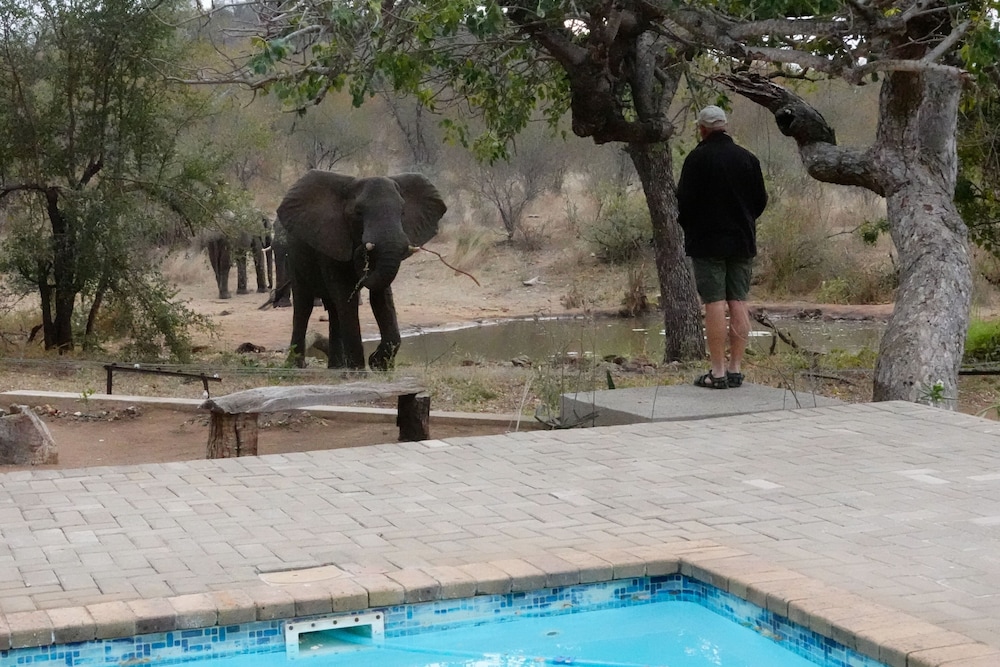 Antares Bush Camp & Safaris 38/50