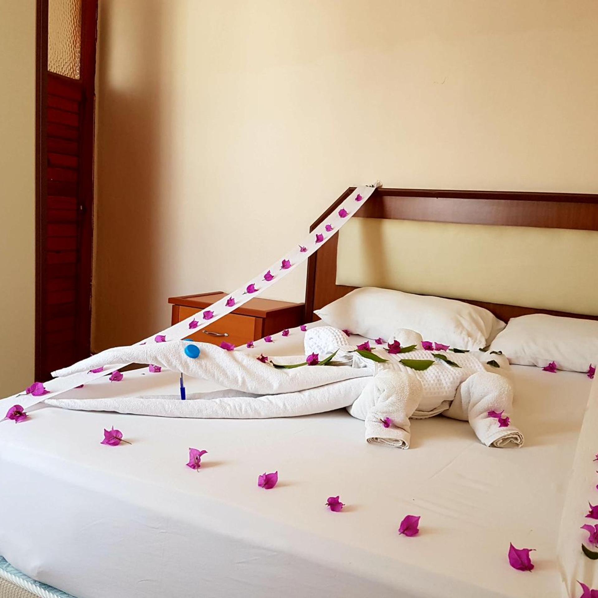 Palmen Apart Hotel 20/100